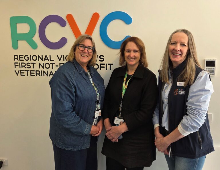 Maryanne Egan, Kerryn James and Robyn Slattery in front of the RCVC logo
