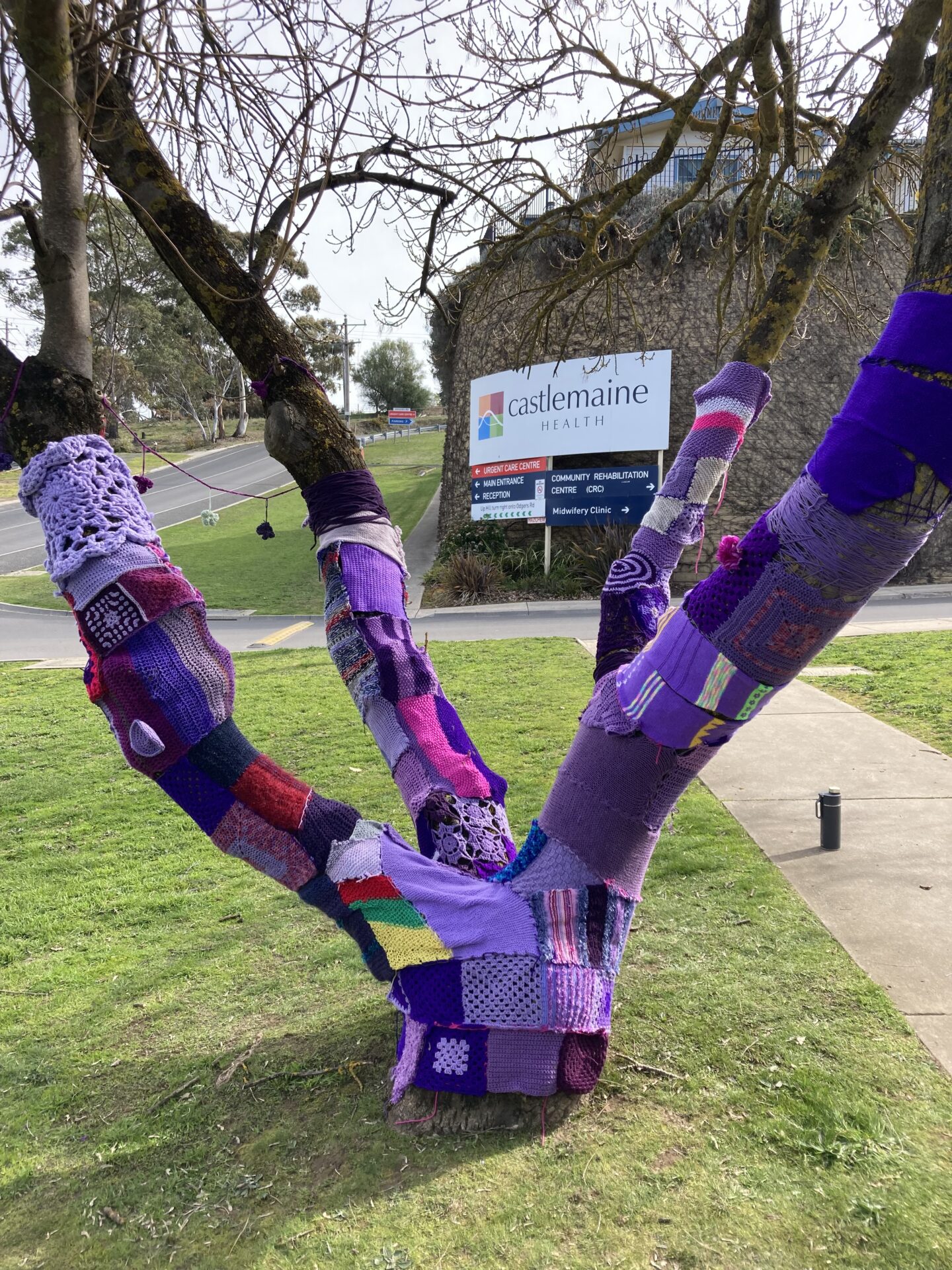 a bare deciduous tree with it's main trunks covered by pieces of purple knitting and crocheting