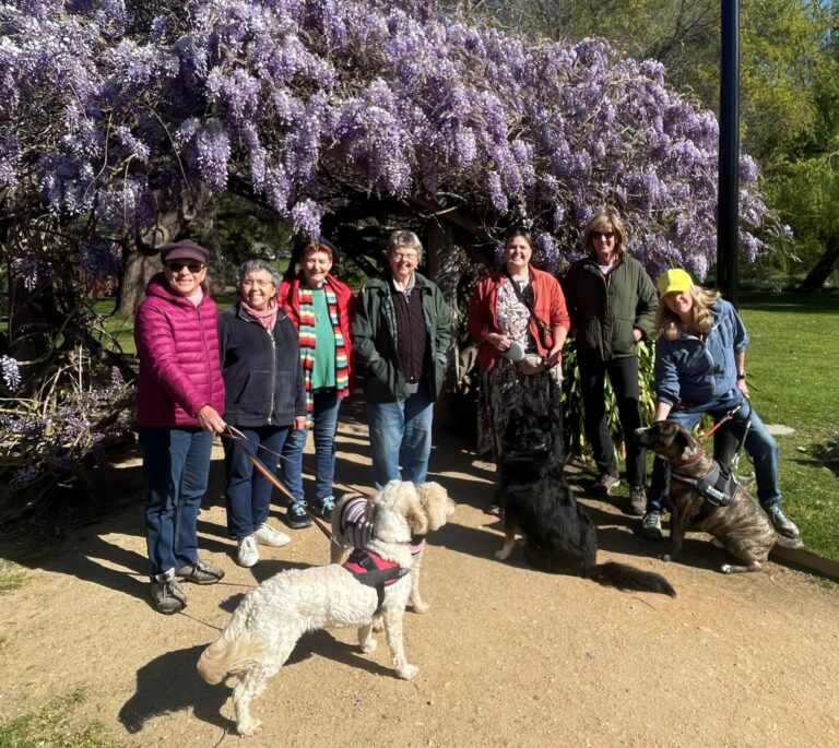 Group of LGBTIQA+ walkers and a dog standing in front of a large wisteria in Castlemaine