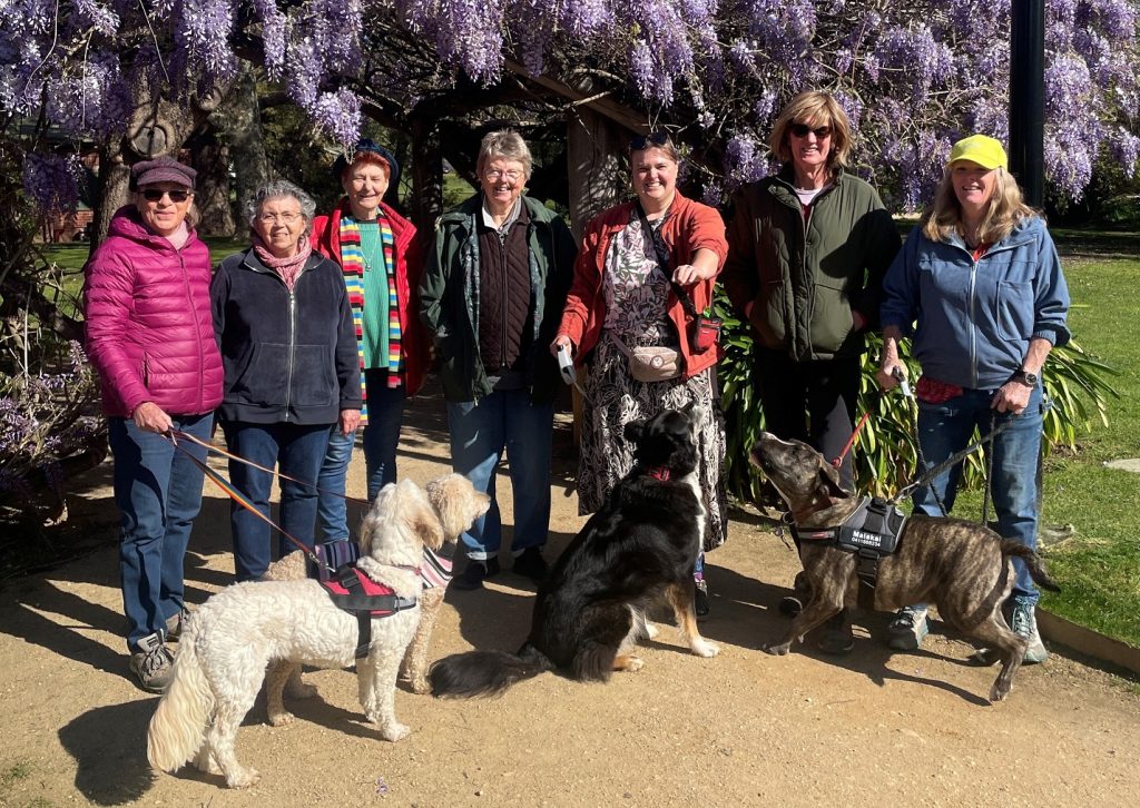 Rainbow Steps walking group members in Botanic Gardens with their dogs