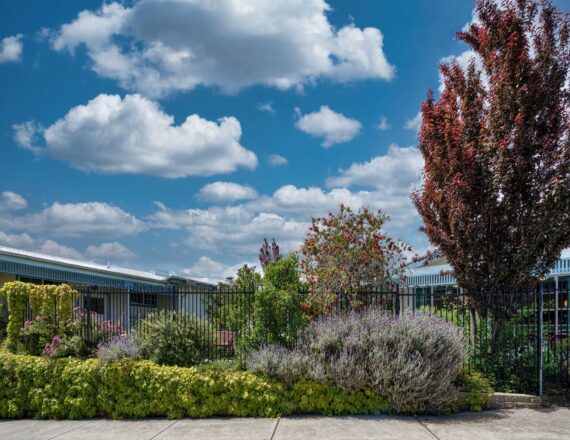 Ellery House front garden