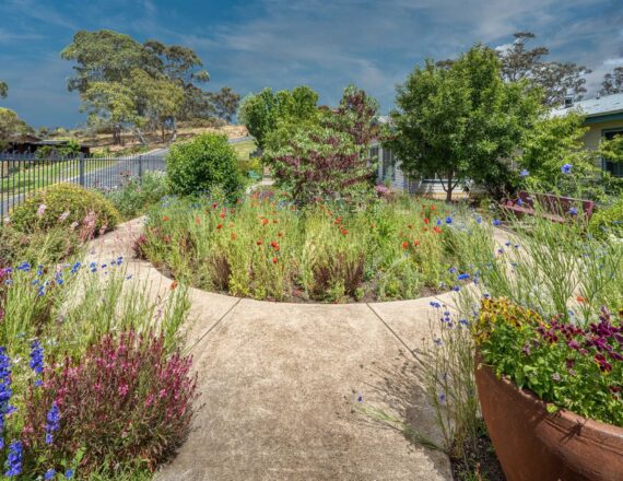 Ellery House rear garden